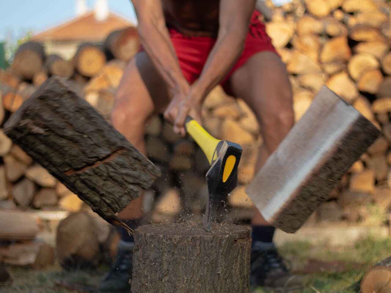 Dead Tree Removal in Haverhill, FL